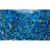 Blue Hydrangea Broken Petals Acrylic - 1/8" (3mm) *READ DESCRIPTIONS*