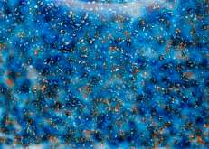 Blue Hydrangea Broken Petals Acrylic - 1/8" (3mm) *READ DESCRIPTIONS*