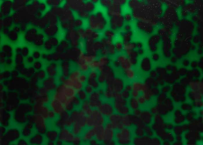 Green Tortoise Shell Acrylic - 1/8" (3mm) *READ DESCRIPTIONS*